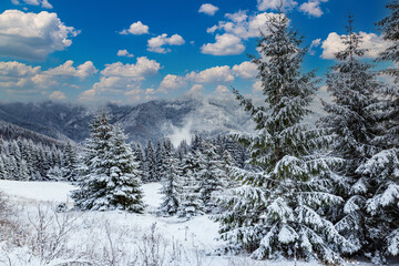Fototapeta na wymiar Winter mountain landscape in Tatras. Slovakia.