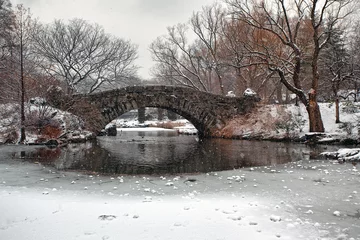 Cercles muraux Pont de Gapstow Gapstow Bridge in Central Park, snow storm