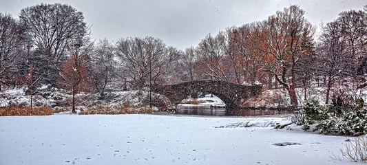 Papier Peint photo Pont de Gapstow Gapstow Bridge in Central Park, snow storm