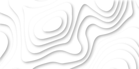 Abstract Luxury paper cut background, Abstract decoration, white pattern lines gradients, 3d Vector illustration, topographic canyon map light relief texture, curved layers.