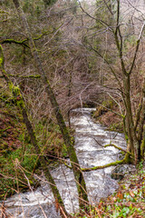 A small river flowing through the belgian ardennes on an early winter afternoon.