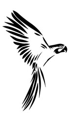 flying macaw vector illustration  © Vector rare animals