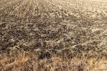 冬の田んぼ風景