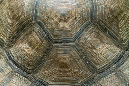 Life on Galapagos Island, Ecuador.