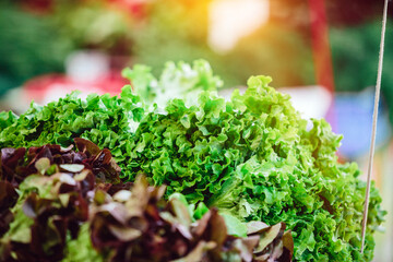 Fresh salad at Farmers' market