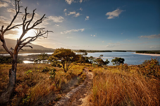 Scenic view of Carrao river, Canaima National Park, Venezuela