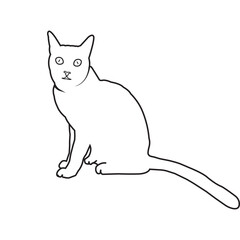 Cat icon