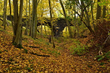 Fototapeta premium English park Dobris Devil´s bridge