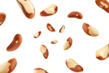 Falling Brazil Nut, isolated on white background, selective focus