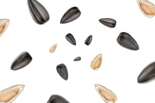 Falling sunflower seed, isolated on white background, selective focus