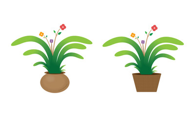 Flower Plant in Pot Vector Illustration 