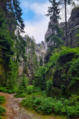 Beautiful green mountains. Hiking. Outdoor recreation.