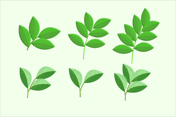 leaf flower transparent vector