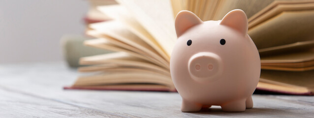 Piggy bank and book. College fees saving concept, copy space for text