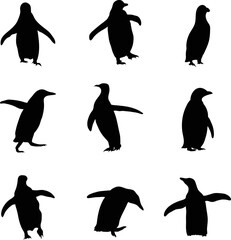 A vector collection of penguins for artwork compositions