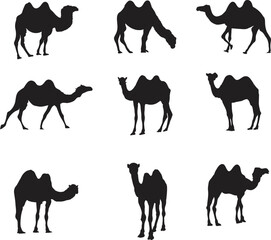 A vector collection of camels