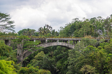 Titi Gantung bridge in jungle. Bali, Indonesia