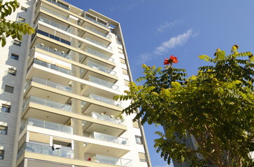 A cozy white balcony in an apartment high-rise building. Blooming African tulip tree near the...