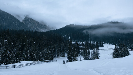 Fototapeta na wymiar National park covered in snow in northern Italy