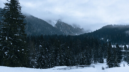 National park covered in snow in northern Italy
