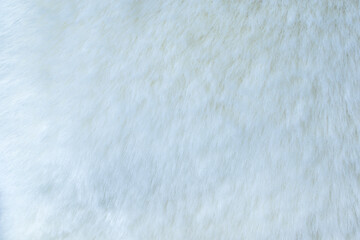 Fototapeta na wymiar White wool texture, abstract fur background