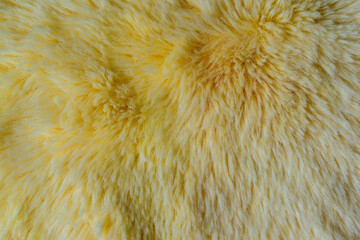 Yellow wool texture, abstract wool background