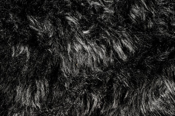 Black wool texture, abstract fur background