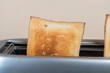 bread in the toaster. kitchenware