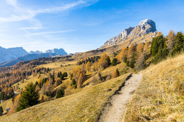 Beautiful autumn mountain pasture in the Dolomites in Italy, located in the Naturpark Puez-Geisler in Alto Adige, South Tyrol