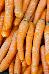 Carrots in street market stall on Sao Paulo city, Brazil