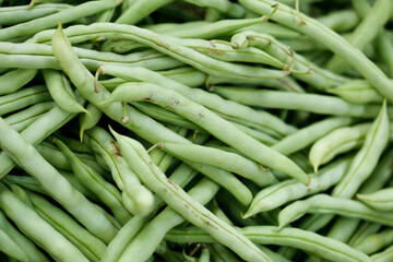 Fava in market stall to sale on Sao Paulo city, Brazil