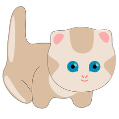 kitty vector