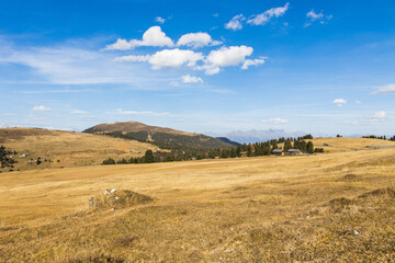 Autumn mountain landscape in South Tyrol in Italy, useable as background or wallpaper