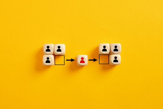 Employee transfer. Changing the team position of a personnel. Headhunting employees from competitors. Staff replacement and relocating.