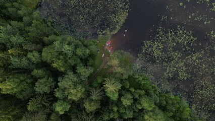 Amazing panoramic view of the lakes in the forest! The view from the drone. 