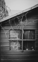 Schöne frostige Spinnennetze am alten Gartenhäuschen