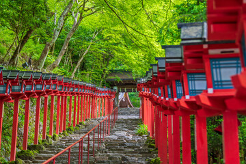 新緑の貴船神社＜京都府＞