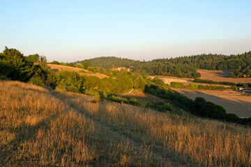 Obraz premium Views from Pewley Down in Guildford, Surrey during the summer drought of 2022.
