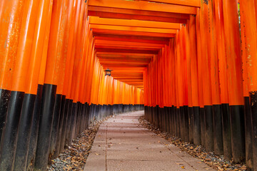 ＜京都府＞伏見稲荷大社・千本鳥居