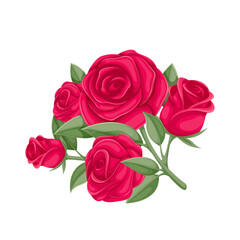 Red roses vector illustration. Cartoon flowers with petals, buds and green leaf on branch for fresh floral decoration, bouquet for wedding or Valentines Day, rose blossom on stem from summer garden