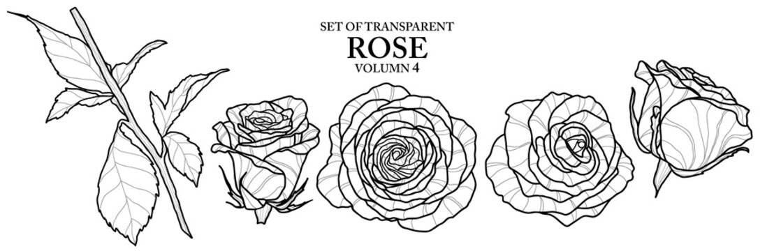 Cute hand drawn isolated black outline rose on transparent background png file (Volumn 4)
