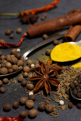 A set of Indian spices on a dark table
