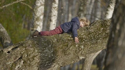 Little blond hair child resting on big tree branch,funny boy hanging