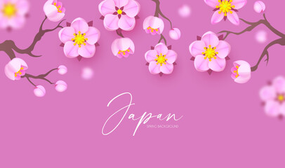 Japanese background sakura blossom. Asian paper design