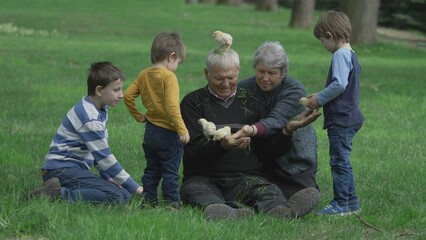 Grandparents and kids playing with chicken in nature