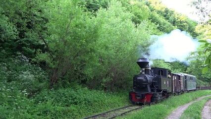 Steam-powered locomotive train called Mocanita on narrow-gauge railway on Vaser Valley in Maramures...