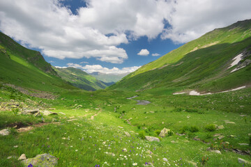 Fototapeta na wymiar Green summer mountain valley at day.