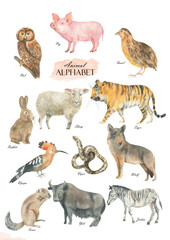 Animal alphabet set2