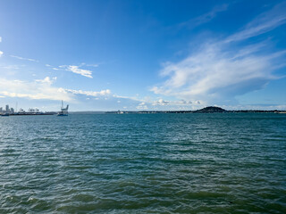 the view of Okahu Bay from the beach