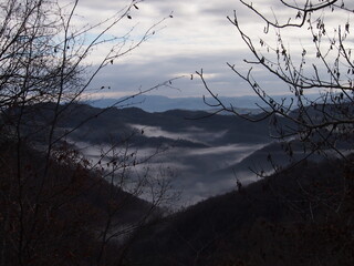 Paesaggio tra la nebbia